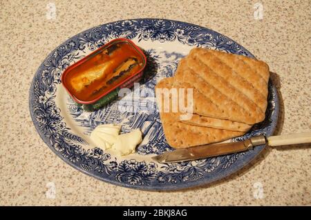 Conserves de sardines sur l'assiette sauce tomate austère nourriture de base grub manger la subsistance protéine énergie ration Banque D'Images