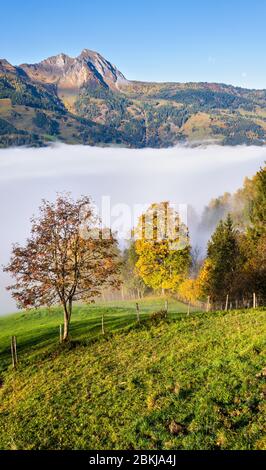 Scène alpine d'automne idyllique ensoleillée. Paisible Misty matin Alpes vue sur la montagne depuis le sentier de randonnée de Dorfgastein jusqu'aux lacs Paarseen, Land Salzburg, Austr Banque D'Images