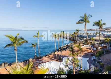 Palmiers à la piscine fermée et restaurant Las Rocas, qui fait partie de l'hôtel jardin tropical pendant le covid 19 dans la station touristique de C Banque D'Images