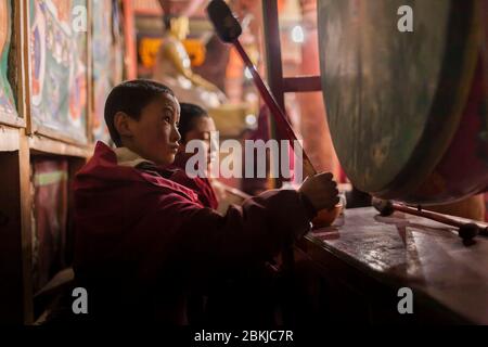 Inde, Jammu-et-Cachemire, Ladakh, Hemis Gompa, jeune moine novice qui la porte avec un tambour dans le temple, altitude 3600 mètres Banque D'Images