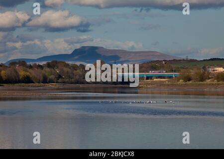 Train à germe à transport unique de classe 153, Northern Rail, traversant le pont Carlisle (Lancaster, rivière Lune) avec Ingleborough derrière. Banque D'Images