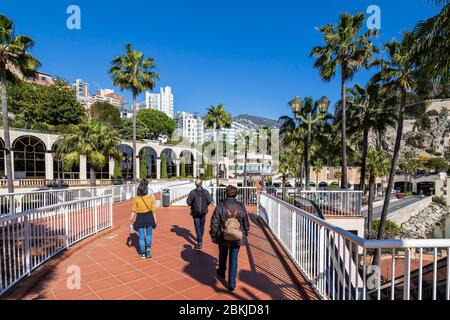 Principauté de Monaco, Monaco, quartier de Fontvieille, port de Fontvieille Banque D'Images