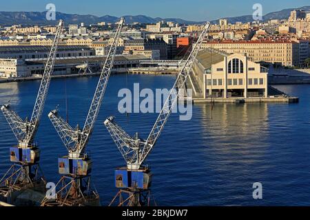 France, Bouches du Rhône, Marseille, zone euro-méditerranéenne, Grand Port Maritime de Marseille, 2ème arrondissement, quartier de la Joliette, bassin de la Grande Joliette, Hangar J1 (vue aérienne) Banque D'Images