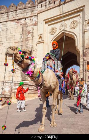 Inde, Rajasthan, Jodhpur, chameaux se paradisant devant le fort de Mehrangarh Banque D'Images