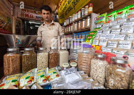 Inde, Rajasthan, Jodhpur, Sardar Market Girdikot, thé et épices vendeur Banque D'Images