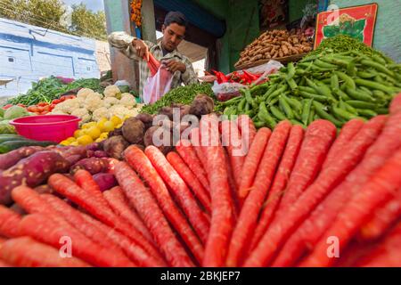 Inde, Rajasthan, Jodhpur, Sardar Market Girdikot, vendeur de légumes Banque D'Images