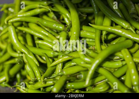 Inde, Rajasthan, Jodhpur, Sardar Market Girdikot, piments verts Banque D'Images