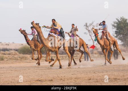 Inde, Rajasthan, Bikaner, Camel Festival, course à dos de chameau Banque D'Images