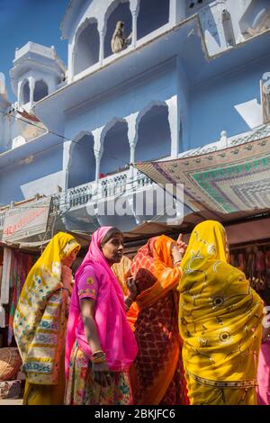 Inde, Rajasthan, Pushkar, singe de Langur au-dessus d'un groupe de jeunes femmes dans des saris colorés Banque D'Images