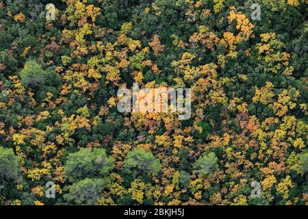 France, Var, Signes, forêt en automne (vue aérienne) Banque D'Images