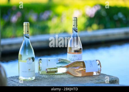 France, Vaucluse, Parc naturel Régional du Luberon, Vallée de l'Aigues, la Tour d'Aigues, domaine Saint Médard Banque D'Images