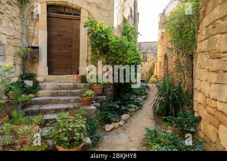 France, Vaucluse, Parc naturel régional du Luberon, Oppede le Vieux, maison Renaissance dans une rue pavée Banque D'Images