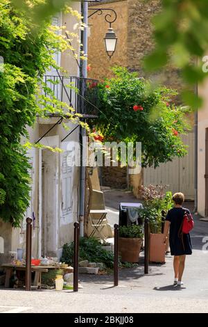 France, Vaucluse, Luberon, parc naturel régional du Luberon, Vauines Banque D'Images