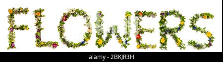 Fleurs et fleurs lettre de bâtiment de mot fleurs Banque D'Images