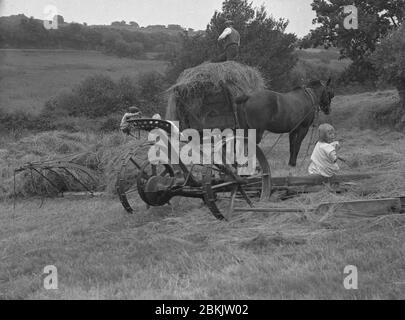 Années 1930, photo historique, dans les collines des rollings près de Dartmoor, à Chagford, Devon, deux agriculteurs travaillant à l'extérieur dans un champ rassemblant du foin dans une charrette en bois, avec une petite fille, fille, fille d'un fermier assis sur les pattes en bois de l'outil agricole à deux talons. À cette époque, empiler le foin sur le chariot a été un travail physique lourd et chronophage, mais important pour l'alimentation d'hiver du bétail de la ferme. Banque D'Images