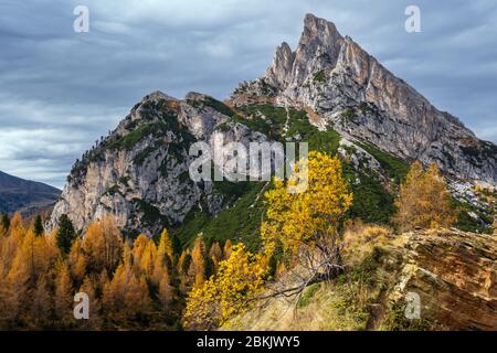 Coloré automne alpin Dolomites scène de montagne rocheuse, Sudtirol, Italie. Vue paisible depuis le col de Falzarego. Voyage pittoresque, saisonnier, nature et Banque D'Images