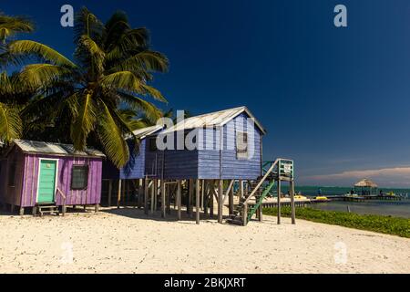 maisons colorées à caye caulker belize Banque D'Images