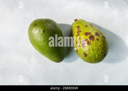 Avocats frais et vieux sur une table avec ombre, lumière naturelle. Concept de nourriture biologique et zéro déchet Banque D'Images