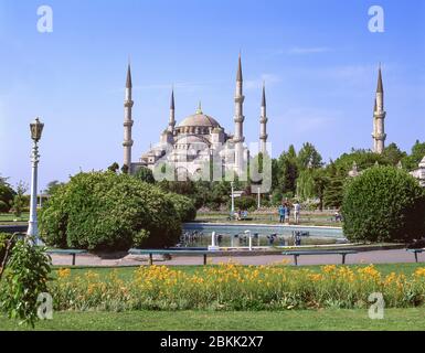 Mosquée Sultan Ahmed (Mosquée bleue), du parc Sultan Ahmet, district de Fatih, Istanbul, République de Türkiye Banque D'Images