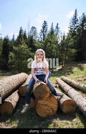 vacances dans les montagnes sur les arbres d'abattage Banque D'Images