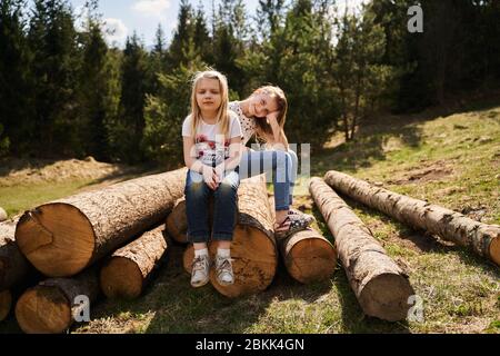 vacances dans les montagnes sur les arbres d'abattage Banque D'Images