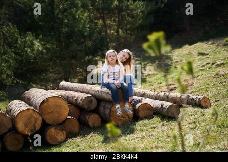 vacances dans les montagnes sur les arbres d'abattage Banque D'Images