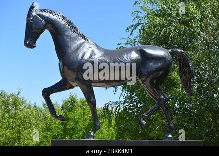 Kogershin, Kazakhstan - 5 juin 2014 : monument de l'étalon akhal teke absent en cuivre dans le goujon de cheval Lugovskoy en été. Banque D'Images