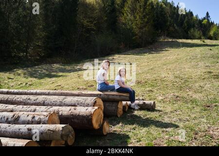 vacances dans les montagnes sur les arbres d'abattage Banque D'Images