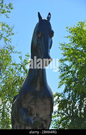 Kogershin, Kazakhstan - 5 juin 2014 : monument de l'étalon akhal teke absent en cuivre dans le goujon de cheval Lugovskoy en été. Banque D'Images