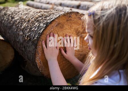 vacances dans les montagnes sur les arbres d'abattage Banque D'Images