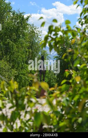 Kogershin, Kazakhstan - 5 juin 2014 : monument de l'étalon akhal teke absent en cuivre dans le goujon de cheval Lugovskoy en été. Banque D'Images