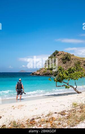 Photographe se tenant près d'un arbre, en regardant la mer de Flores dans le parc national de Komodo, Indonésie. Banque D'Images