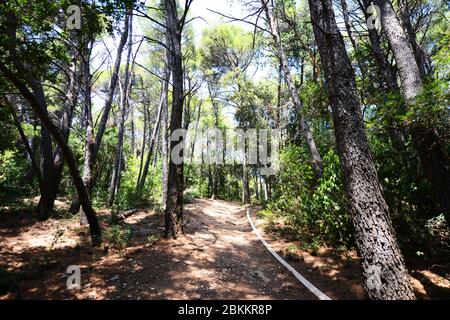 Randonnée sur le chemin du paradis sur l'île de Lokrum près de Dubrovnik, Croatie. Banque D'Images