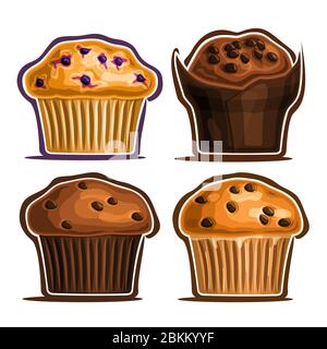 Vector Set de muffins assortis, collection de 4 illustrations découpés de muffins variés avec des chips de bleuets et de chocolat dans un coffret en papier, ensemble de fres Illustration de Vecteur