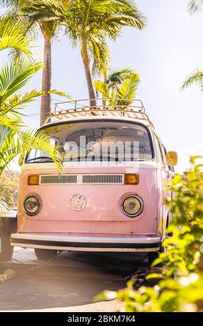 Un campervan rose VW garé à côté des palmiers Banque D'Images