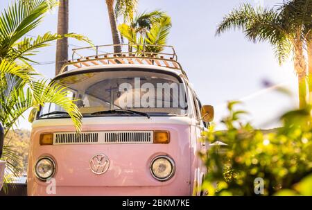 Un campervan rose VW garé à côté des palmiers Banque D'Images