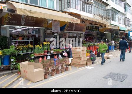 Marché aux fleurs à Hong Kong Banque D'Images