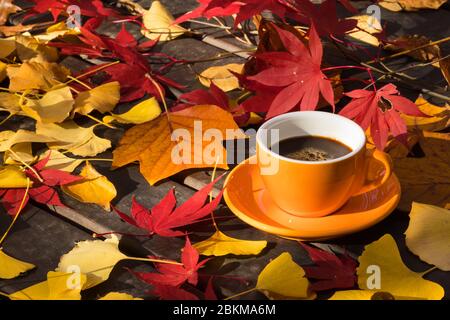 Fond de feuille d'érable d'automne et tasse de café orange Banque D'Images