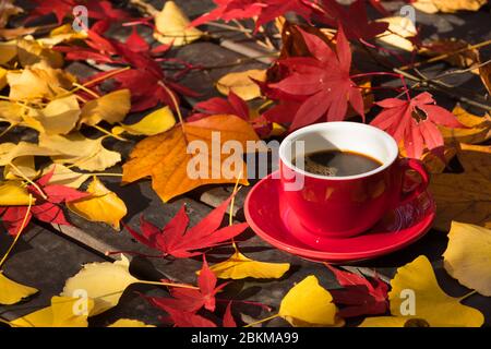 Fond de feuille d'érable d'automne et tasse de café rouge Banque D'Images