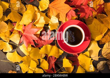 Fond de feuille d'érable d'automne et tasse de café rouge Banque D'Images