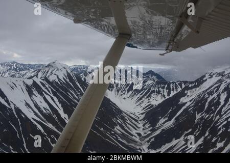 Vue depuis une excursion en vol dans un Beaver de Havilland N30CC sur les plus hautes montagnes et glaciers de Denali, avec Fly Denali, en opération à Healy. Banque D'Images