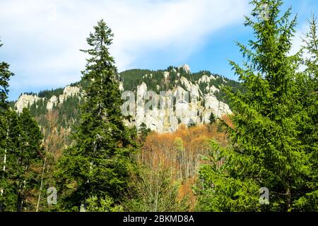 Couleurs d'automne dans les montagnes de Ciucas, Roumanie. Banque D'Images