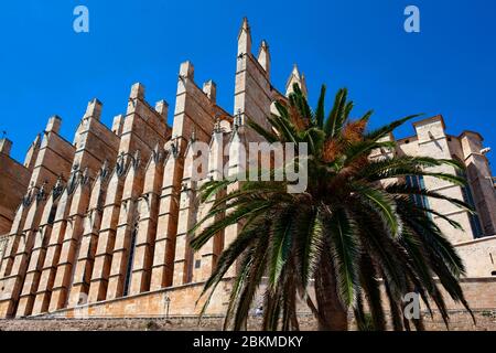 Cathédrale, Palma de Majorque, Iles Baléares, Espagne Banque D'Images