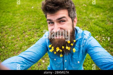 Concept de beauté naturelle. Homme avec la barbe aime le printemps, vert prairie fond. Type avec des fleurs de celandine moins en barbe prenant photo selfie. L'taille basse sur le visage souriant est sur l'herbe, défoqué Banque D'Images