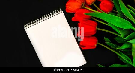 Carte De Condoleances Blanche Vierge Avec Tulipes Rouges Sur Fond Sombre Fleurs Fraiches Espace Vide Pour Un Texte Photo Stock Alamy