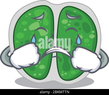 Dessin de personnage de dessin animé de bactéries chromocales avec un visage de pleurs Illustration de Vecteur