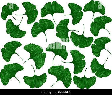 Arrière-plan fait de feuilles de Ginkgo biloba, illustration vectorielle Illustration de Vecteur