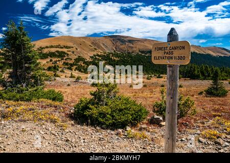 Forest Canyon Pass sur l'ancien sentier Ute dans le parc national des montagnes Rocheuses. Colorado, États-Unis. Banque D'Images