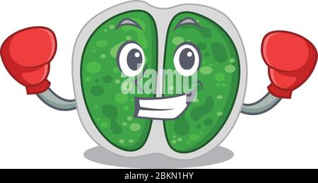 Une massococcale sportive d'athlète de boxe de la forme de bactéries chromococcales avec des gants de boxe rouge Illustration de Vecteur