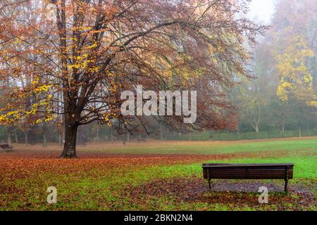 Un banc en bois et des arbres colorés à l'automne et. Banque D'Images